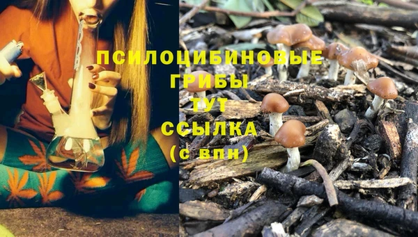не бодяженный Нефтекумск