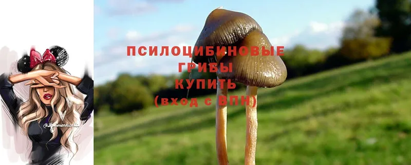 Псилоцибиновые грибы Magic Shrooms  цена наркотик  Лысково 