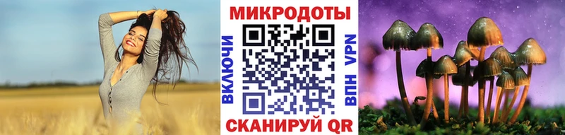 Псилоцибиновые грибы Cubensis  Лысково 